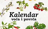 Bauhaus katalog Kalendar voća i povrća