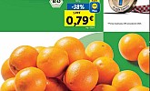 Lidl akcija za početak tjedna do 12.06.