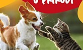 Konzum katalog Kućni ljubimci do 28.7.