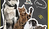 Konzum katalog Kućni ljubimci do 27.4.