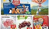 Spar katalog do 2.9.
