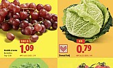 Lidl akcija za početak tjedna do 15.10.