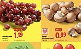 Lidl akcija za početak tjedna do 08.10.