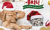 Konzum katalog Kućni ljubimci
