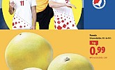 Lidl akcija za početak tjedna do 28.01.