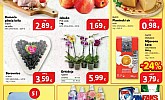 Plodine vikend akcija do 15.2.