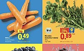 Lidl akcija za početak tjedna do 18.03.