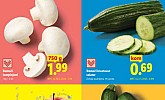 Lidl akcija za početak tjedna do 01.04.