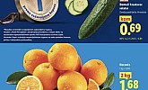 Lidl akcija za početak tjedna do 15.04.