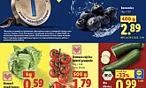 Lidl akcija za početak tjedna do 27. 5.