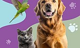 Spar i Interspar katalog Kućni ljubimci