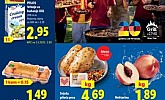 Lidl katalog prehrana do 21.6.