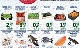 Metro katalog Tjedna ponuda do 14.6.
