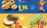Lidl akcija za početak tjedna do 28.07.
