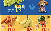 Lidl akcija za početak tjedna do 04.08.
