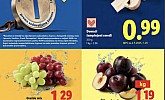 Lidl akcija za početak tjedna do 01.09.