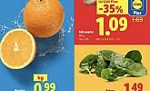 Lidl akcija za početak tjedna do 27.10.