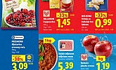 Lidl katalog prehrana do 11.10.