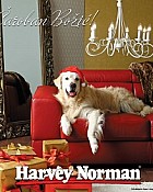 Harvey Norman katalog Čaroban Božić