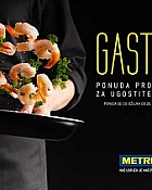 Metro katalog Gastro do 26.4.