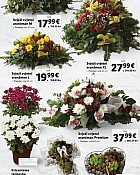 Svi sveti ponuda lampiona i cvjeća 2023
