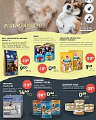 Zoo City katalog listopad 2024
