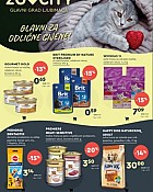 Zoo City katalog veljača 2025