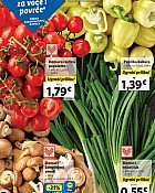 Lidl akcija za početak tjedna do 23.07.