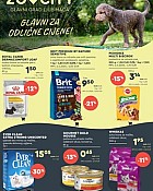 Zoo City katalog srpanj 2025