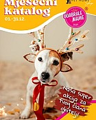 Pet Home Shop katalog prosinac 2025