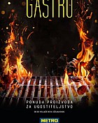 Metro katalog Gastro do 1.3.