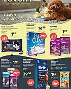 Zoo City katalog ožujak 2026