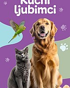 Spar i Interspar katalog Kućni ljubimci