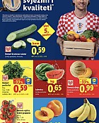 Lidl akcija za početak tjedna do 24.06.