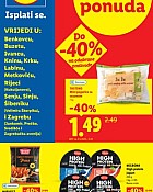 Lidl katalog Super ponuda do 16.8.
