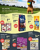 Zoo City katalog kolovoz 2026