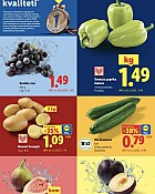 Lidl akcija za početak tjedna do 22.09.