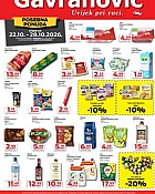 Gavranović katalog do 28.10.