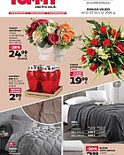 Tommy katalog Svi sveti i kućanstvo