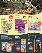 Zoo City katalog listopad 2026